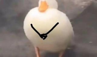 最爱粤语歌词谐音 一生中最爱谐音