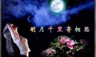 明月千里寄相思的前一句,和后一句是什么 明月千里寄相思诗词