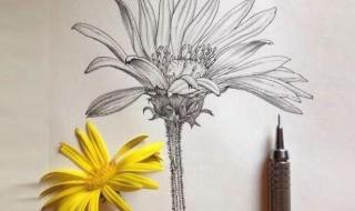 喜欢橘黄色人的性格 性格色彩学测试