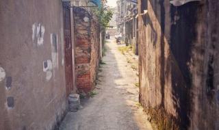 最是人间烟火气 最是人间烟火气